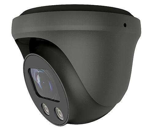 ClareVision 2MP IP Turret Camera